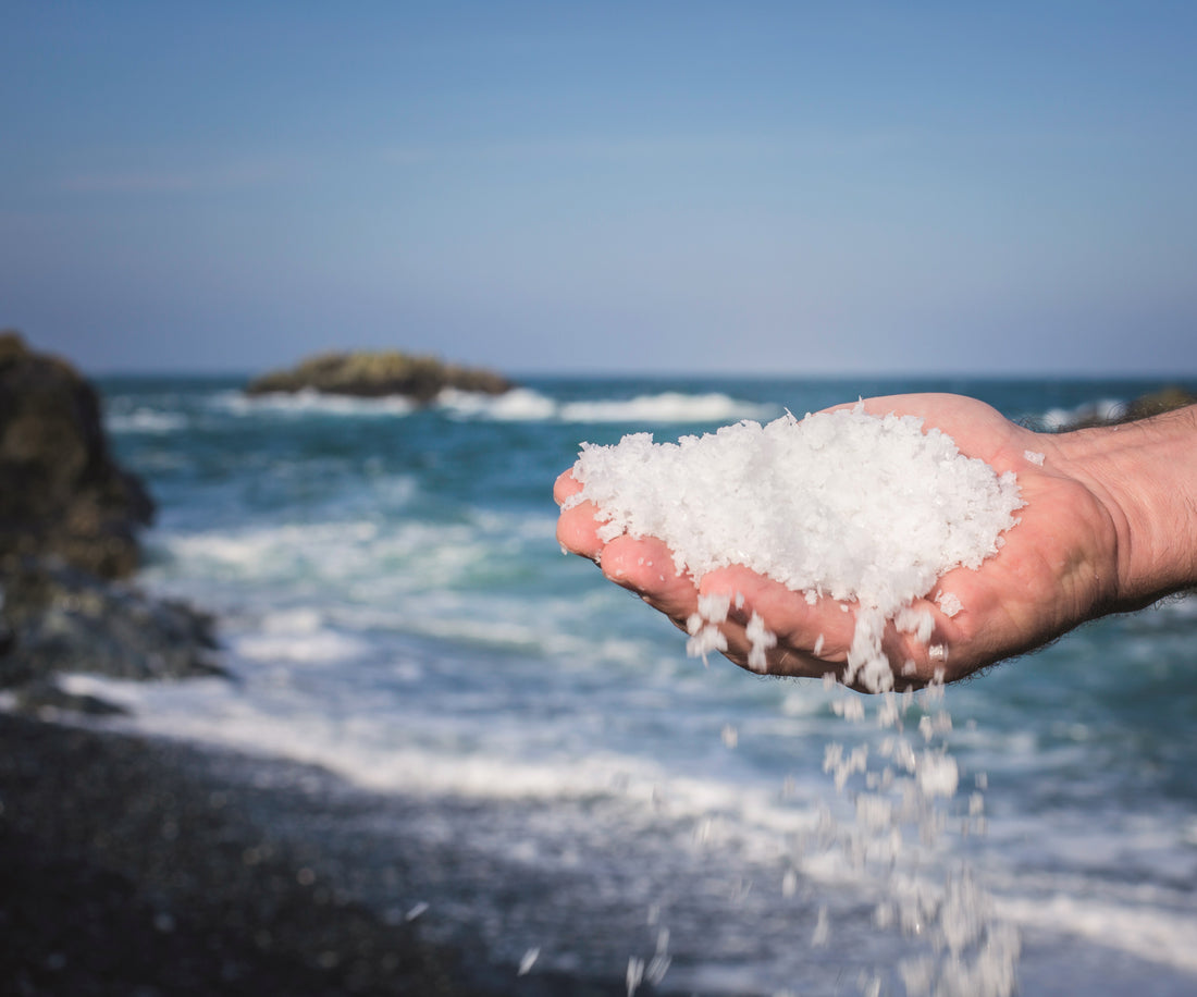 Cornish Sea Salt Sustainability goals this World Oceans Day and beyond